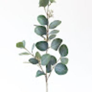 Meet your Posher, Marley